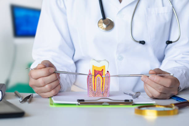 Best Orthodontic Emergency Dentist in Quinnesec, MI